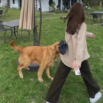 警网:比哈尔邦篇